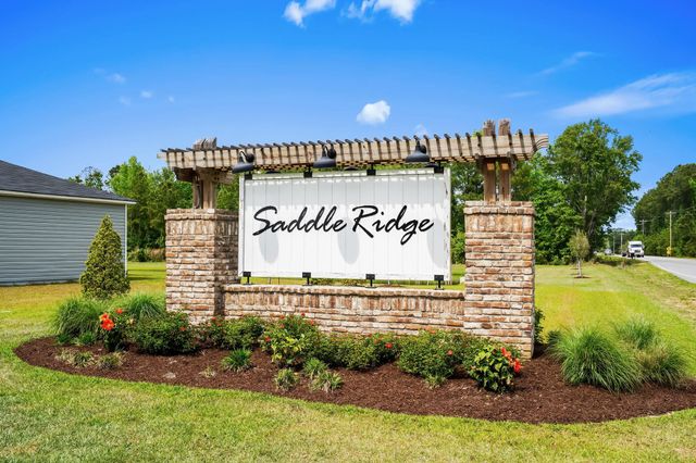 546 Appaloosa Way, Conway, SC 29527