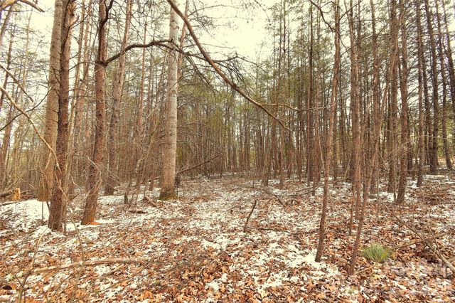 00 King Stepp Road, Mill Spring, NC 28756