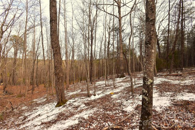 00 King Stepp Road, Mill Spring, NC 28756