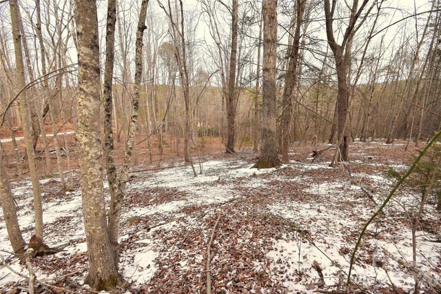 00 King Stepp Road, Mill Spring, NC 28756