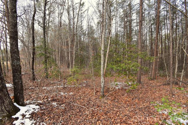 00 King Stepp Road, Mill Spring, NC 28756