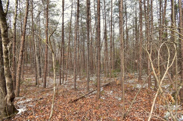 00 King Stepp Road, Mill Spring, NC 28756