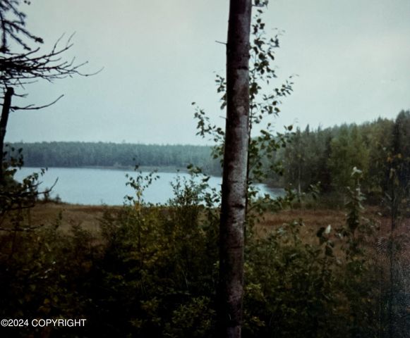 24741 N Otter Lake Loop, Willow, AK 99688