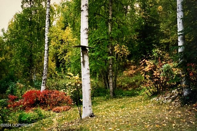 24741 N Otter Lake Loop, Willow, AK 99688