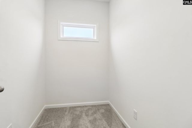 570 Griffon Drive, Chapin, SC 29036