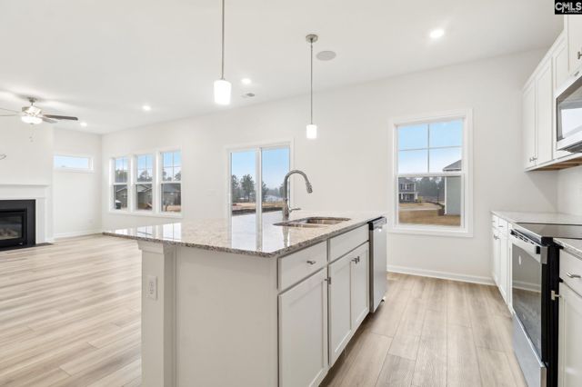 570 Griffon Drive, Chapin, SC 29036