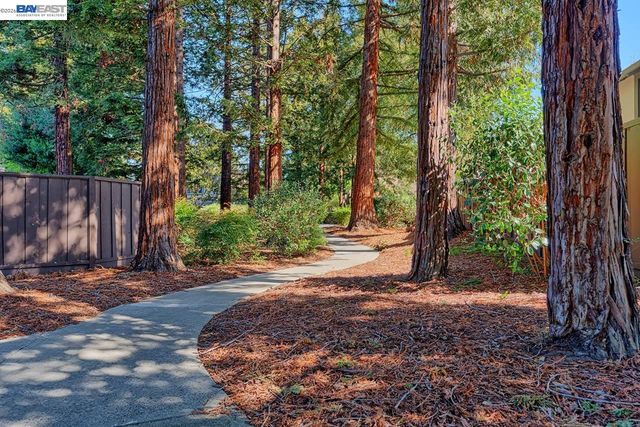 4235 Tanager Cmn, Fremont, CA 94555