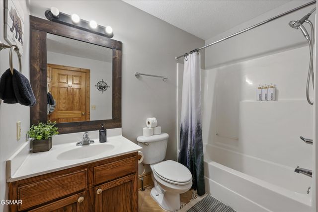 427 Big Bear Way, Pigeon Forge, TN 37863