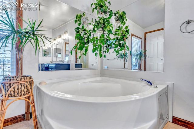 83 Ridge Point Circle, Divide, CO 80814