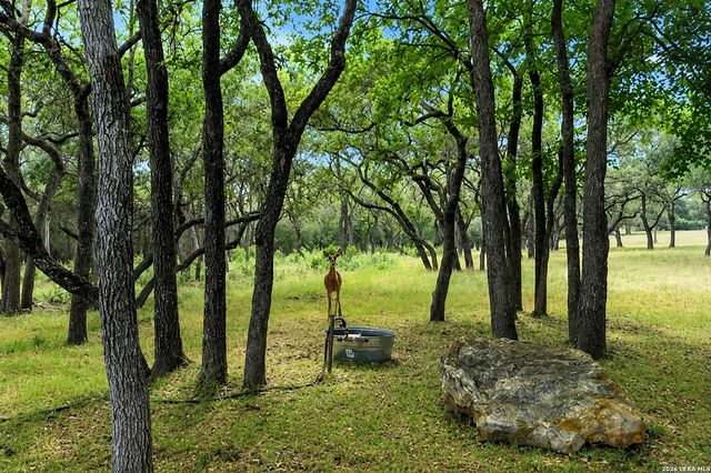 3 WESTELM PT, San Antonio, TX 78230