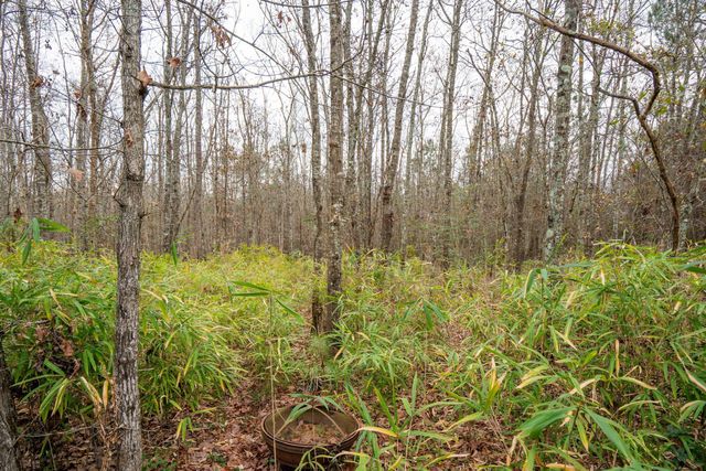 3024 Nehemiah Road, Mount Pleasant, SC 29466