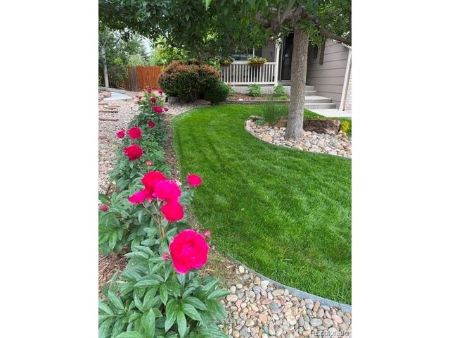 4270 Deer Watch Dr, Castle Rock, CO 80104