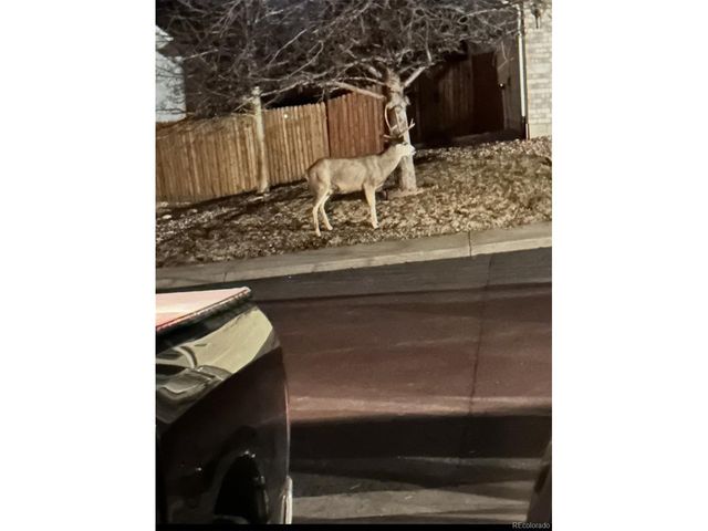 4270 Deer Watch Dr, Castle Rock, CO 80104