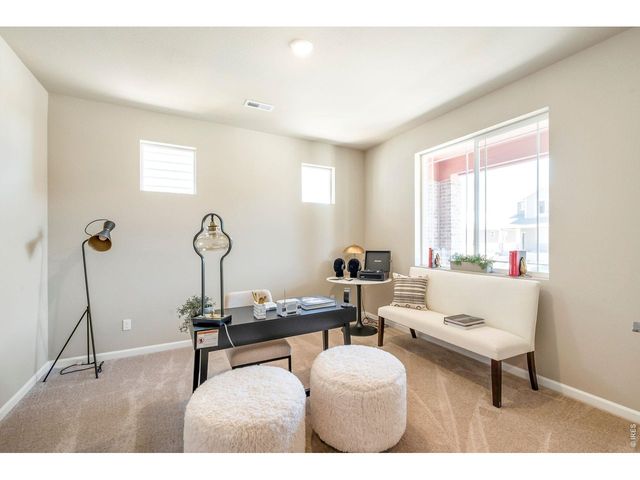 656 Noola St, Windsor, CO 80550