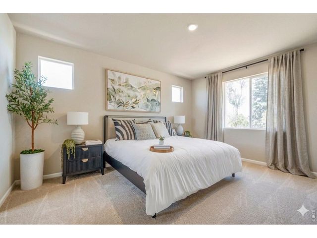 656 Noola St, Windsor, CO 80550