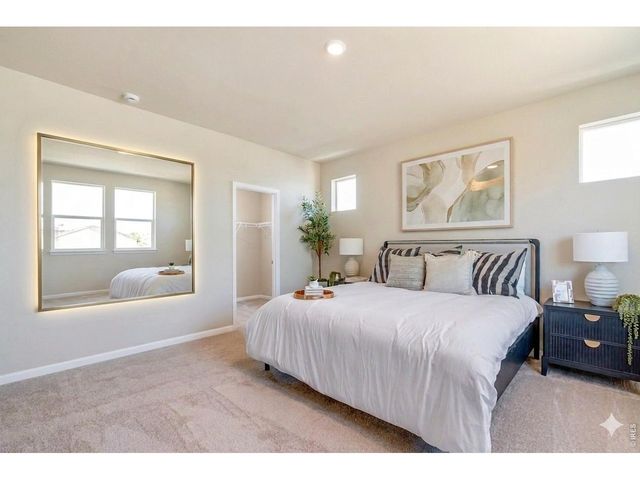 656 Noola St, Windsor, CO 80550
