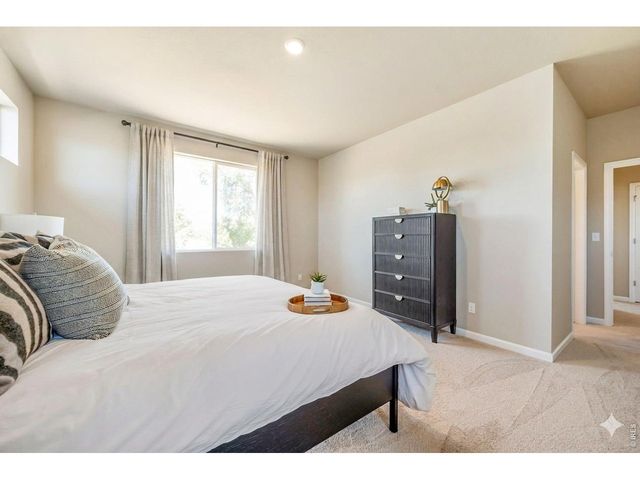 656 Noola St, Windsor, CO 80550