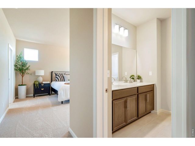 656 Noola St, Windsor, CO 80550