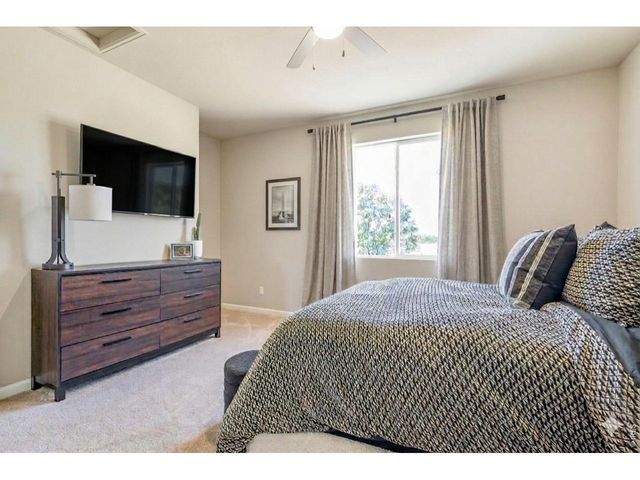 656 Noola St, Windsor, CO 80550
