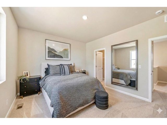 656 Noola St, Windsor, CO 80550