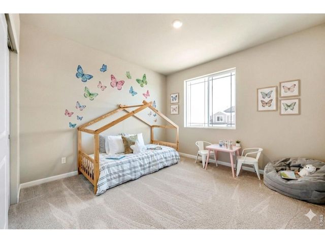 656 Noola St, Windsor, CO 80550