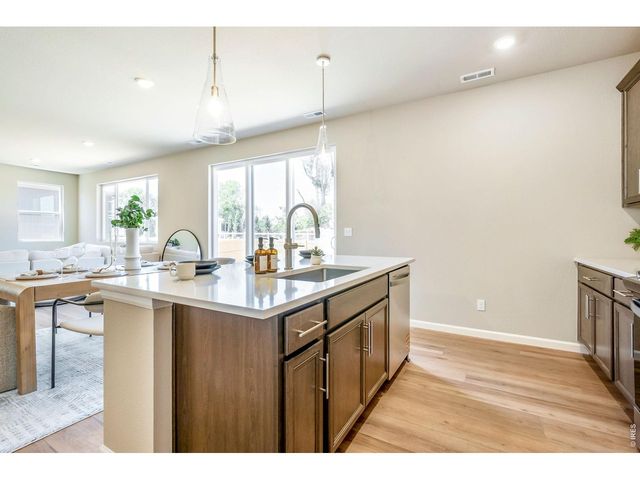 656 Noola St, Windsor, CO 80550