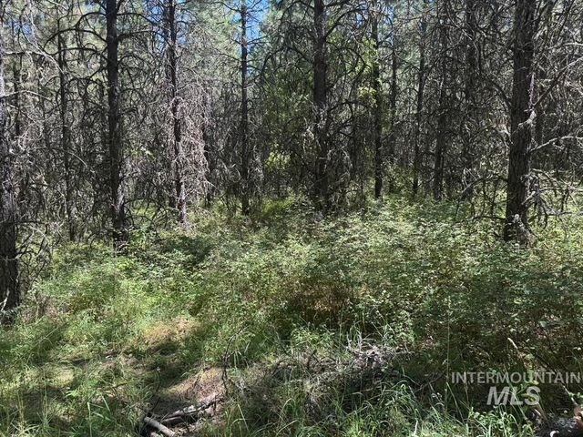 665 Green Rd, Orofino, ID 83544