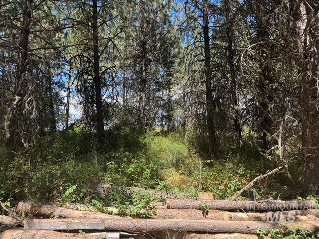 665 Green Rd, Orofino, ID 83544