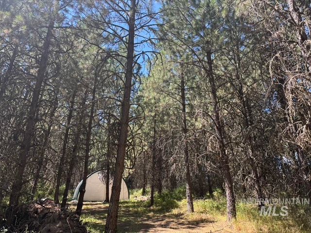 665 Green Rd, Orofino, ID 83544