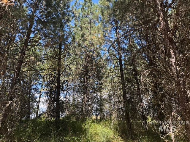 665 Green Rd, Orofino, ID 83544