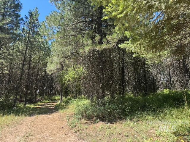 665 Green Rd, Orofino, ID 83544