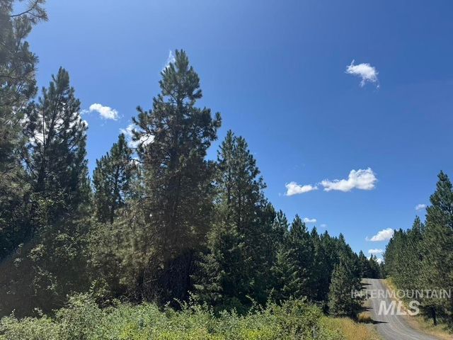 665 Green Rd, Orofino, ID 83544
