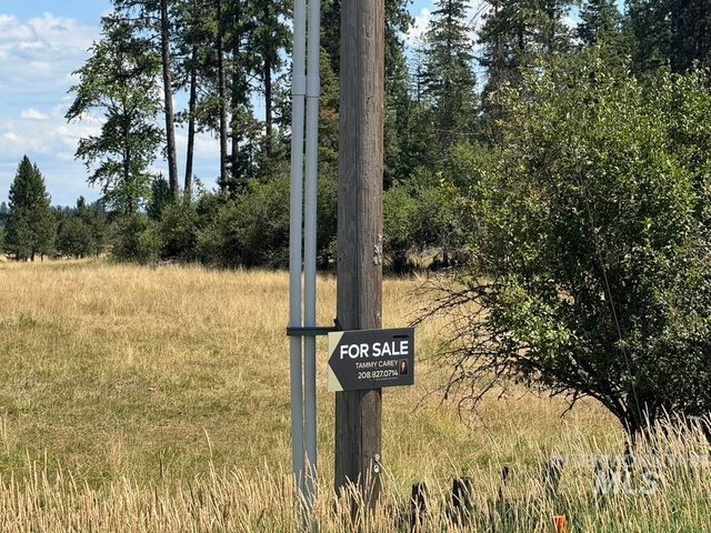 665 Green Rd, Orofino, ID 83544