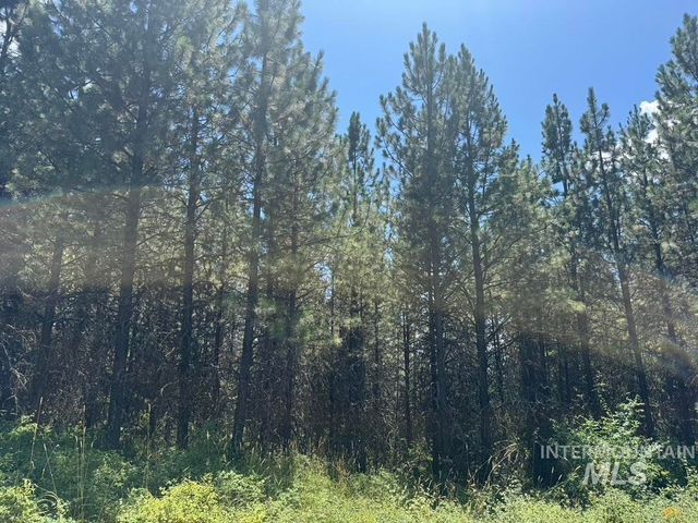 665 Green Rd, Orofino, ID 83544