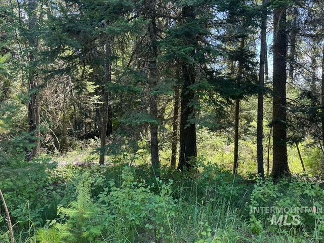 665 Green Rd, Orofino, ID 83544