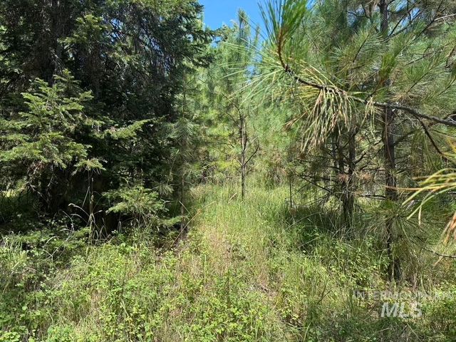 665 Green Rd, Orofino, ID 83544