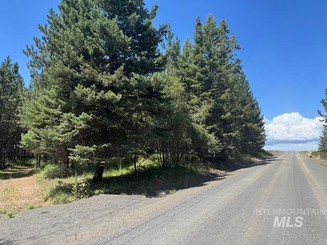 665 Green Rd, Orofino, ID 83544