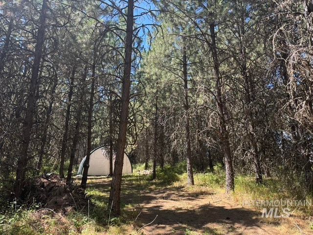 665 Green Rd, Orofino, ID 83544