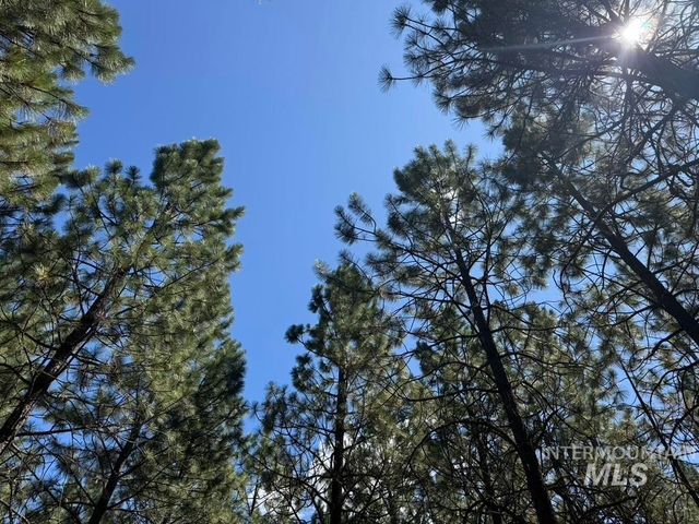 665 Green Rd, Orofino, ID 83544
