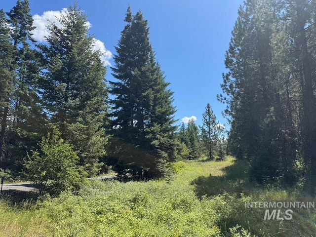 665 Green Rd, Orofino, ID 83544