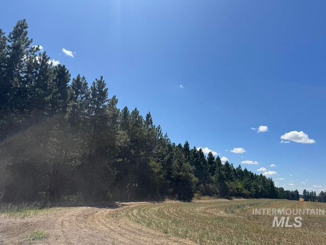 665 Green Rd, Orofino, ID 83544