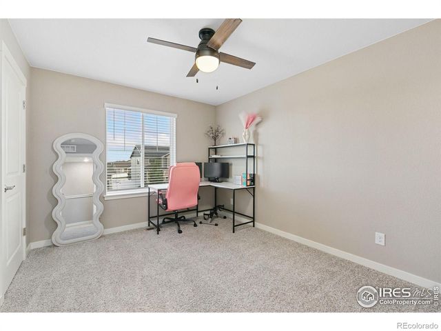 1576 Illingworth Drive, Windsor, CO 80550