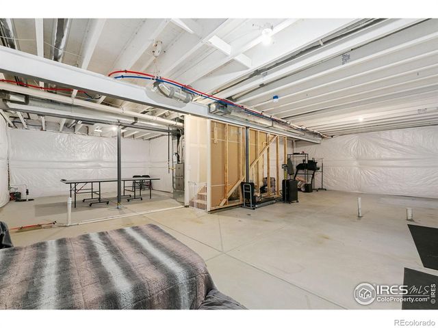 1576 Illingworth Drive, Windsor, CO 80550