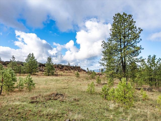 XX Petrichor Ln, Nine Mile Falls, WA 99026