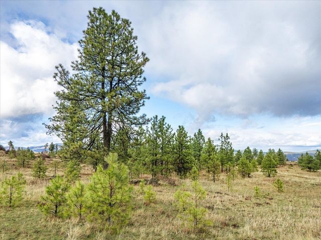 XX Petrichor Ln, Nine Mile Falls, WA 99026