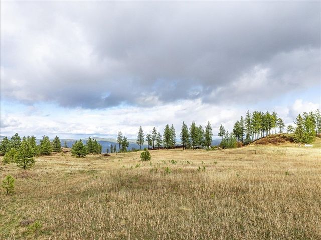 XX Petrichor Ln, Nine Mile Falls, WA 99026