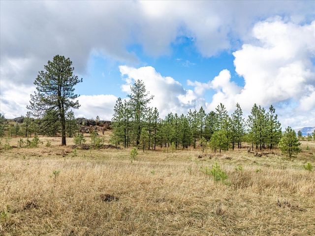 XX Petrichor Ln, Nine Mile Falls, WA 99026