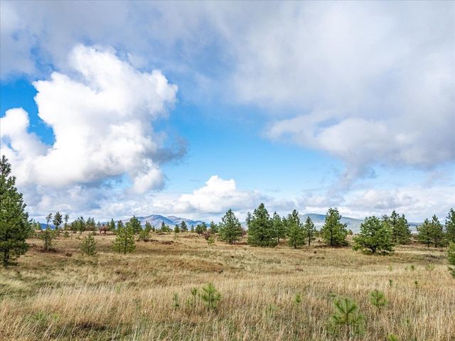 XX Petrichor Ln, Nine Mile Falls, WA 99026