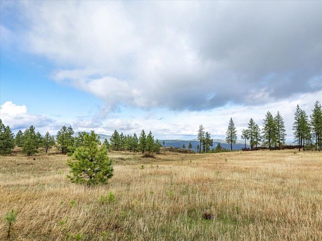 XX Petrichor Ln, Nine Mile Falls, WA 99026