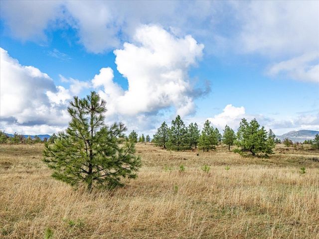 XX Petrichor Ln, Nine Mile Falls, WA 99026